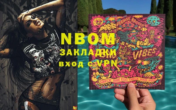 стаф Белокуриха