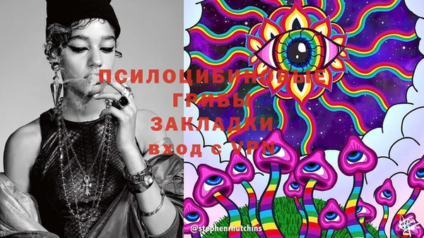 индика Щёлкино