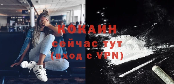стаф Белокуриха