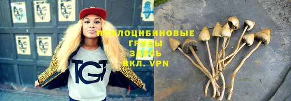 стаф Белокуриха