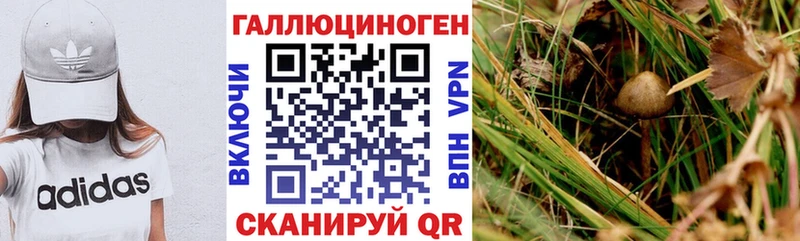 Купить закладки  Нижний Ломов  Псилоцибиновые грибы мицелий 